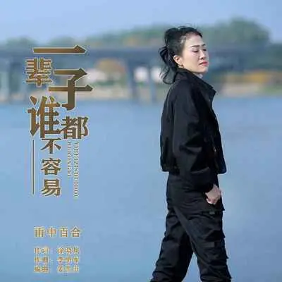 一辈子谁都不容易 - 雨中百合封面