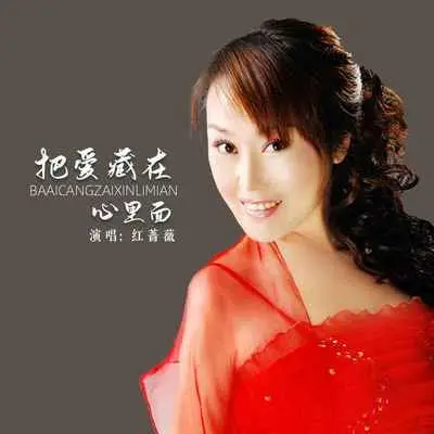 把爱藏在心里面 (伴奏)封面