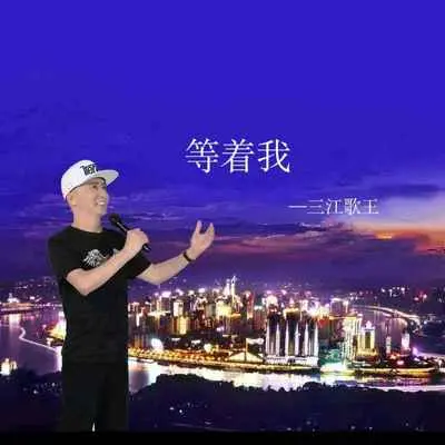 等着我封面