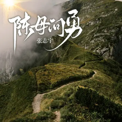 陈母问勇封面