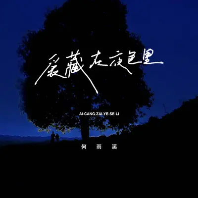 爱藏在夜色里(伴奏)封面
