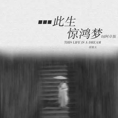 此生惊鸿梦(DJ阿卓版)封面