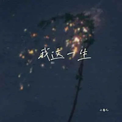 我这一生封面