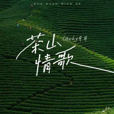 茶山情歌封面
