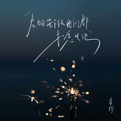 在烟花下祝我们都如愿以偿封面