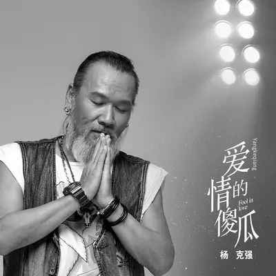 爱情的傻瓜封面