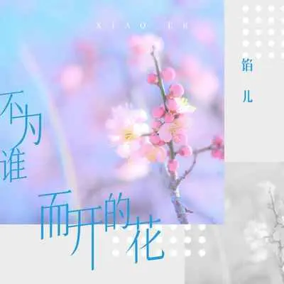 不为谁而开的花(DJ九零版)封面