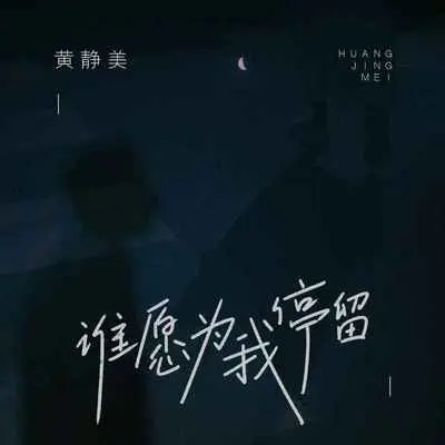 谁愿为我停留(DJ阿本版)(伴奏) - 黄静美封面