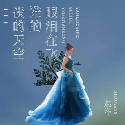 夜的天空谁的眼泪在飞封面