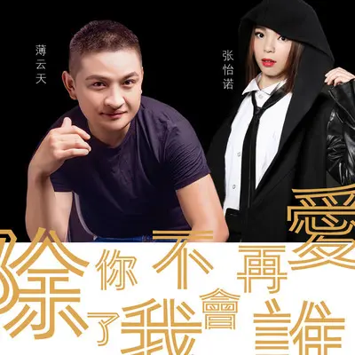 除了你我不会再爱谁(伴奏)封面
