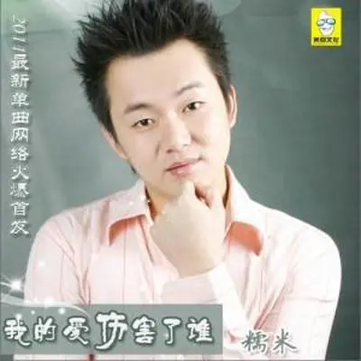我的爱伤害了谁（完整版）封面