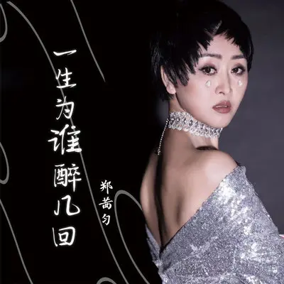 一生为谁醉几回DJ默涵版伴奏封面
