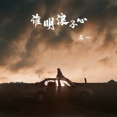 谁明浪子心封面