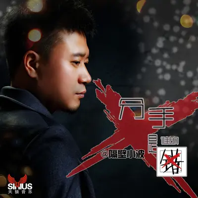 分手是谁的错（伴奏） - 隔壁小波封面