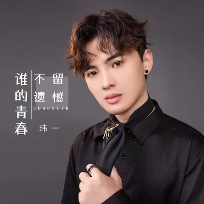 谁的青春不遗憾封面