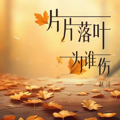 片片落叶为谁伤　(DJ阿卓版)封面