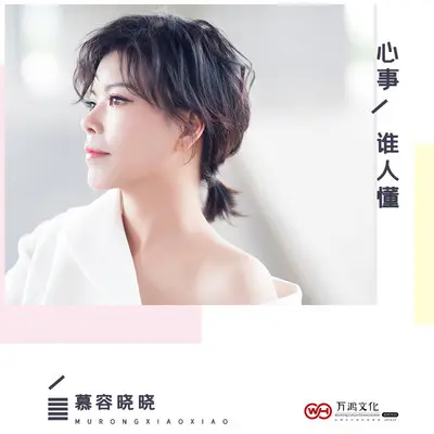 心事谁人懂封面