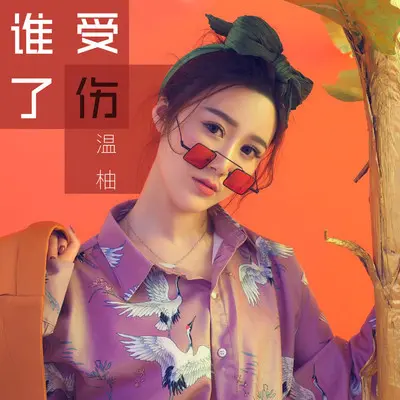 谁受了伤（完整版）封面