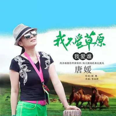 我不爱草原我爱谁DJ何鹏版封面