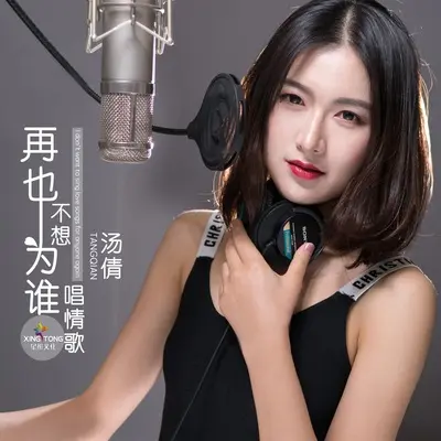再也不想为谁唱情歌封面