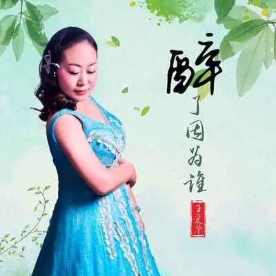醉了因为谁(完整版)封面