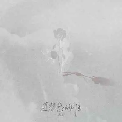 还想感动谁(完整版)封面