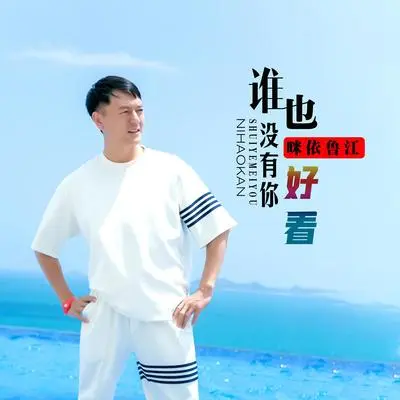 谁也没有你好看（DJ何鹏版伴奏）封面