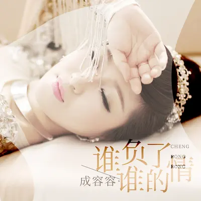 谁负了谁的情封面