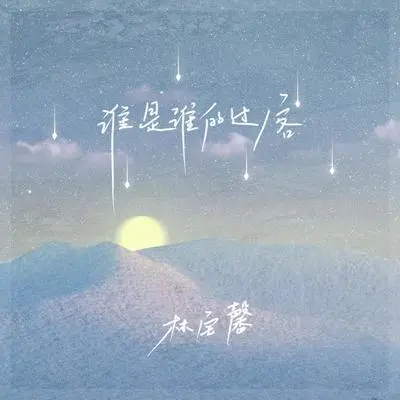 谁是谁的过客封面