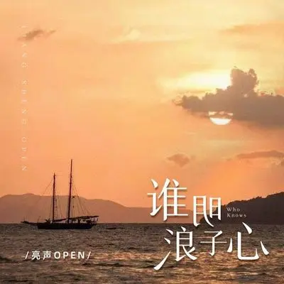 谁明浪子心封面