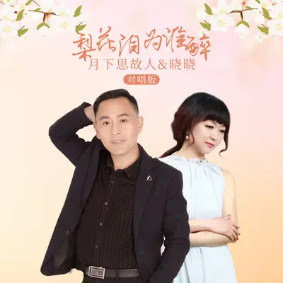 梨花泪为谁醉(对唱版)封面