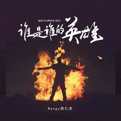 谁是谁的英雄封面