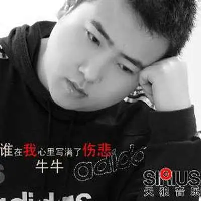 谁在我心里写满了伤悲封面