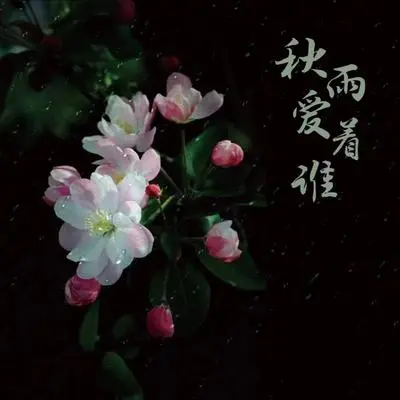 秋雨爱着谁封面