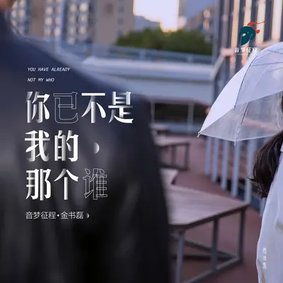 你已不是我的那个谁封面