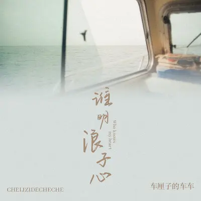 谁明浪子心封面