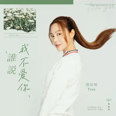 谁说我不爱你封面