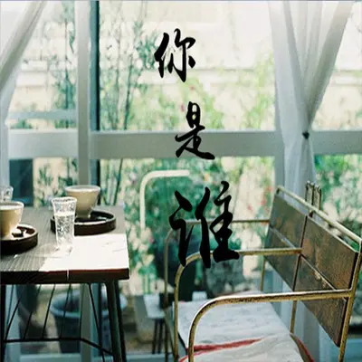 你是谁封面