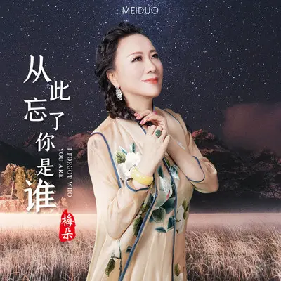从此忘了你是谁 (伴奏)封面