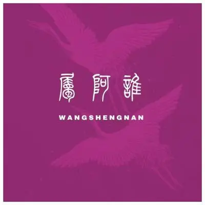 属阿谁封面
