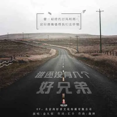 谁还没有几个好兄弟封面