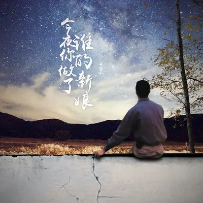 今夜你做了谁的新娘 (伴奏)封面