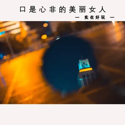 口是心非的美丽女人封面