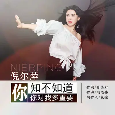你知不知道你对我多重要 (DJheap九天版伴奏) - 倪尔萍封面