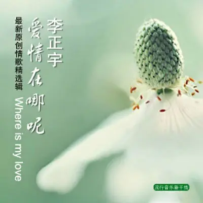 你猜不透你学不会 - 李正宇封面