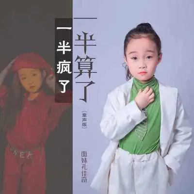 一半疯了一半算了(DJ默涵童声版)封面