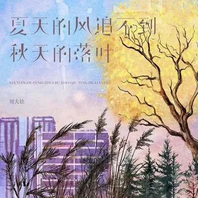 夏天的风追不到秋天的落叶封面
