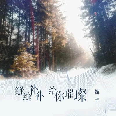 缝缝补补给你璀璨封面