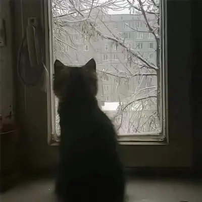 酸甜苦辣咸封面