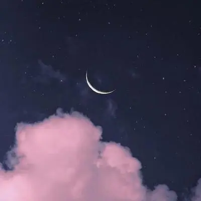 你是我写进歌里最大的秘密封面